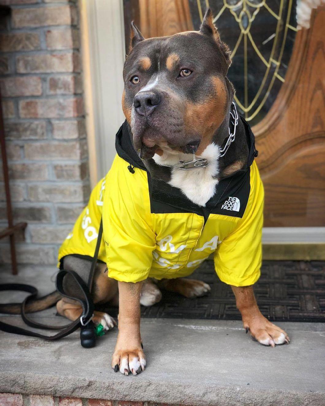Fashion Windproof Rainproof, Polyester Keep Warm Small Medium Large Dog Raincoats