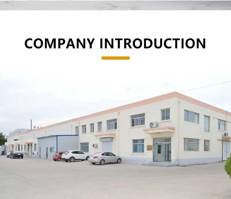 Factory Direct Sales Manufacturers Price Safe and Environmental Protection Dog Dog Dry Food Dog Snacks