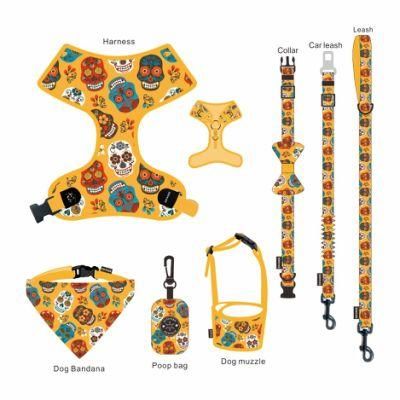 High Quality Free Dog Leash and Collar Set Correas PARA Perro