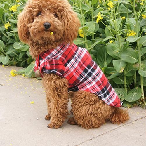 Pet Dog Clothes for Small Dog Spring/Summer Fashion Plaid Shirt Clothes