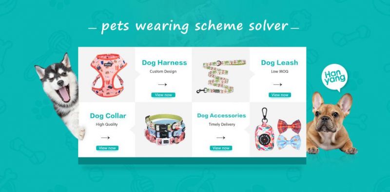 Customized Logo Multi-Design Convenient Hoodie Biker Jacket Comfortable Dog Hoodie