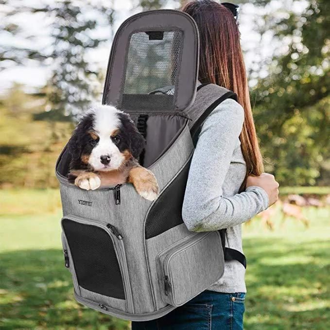 Customized Fashion Dog Cat Bag Pet Carrier Backpack