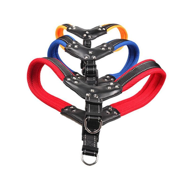Shining Colorful Pet Harness with Pet Leash Set