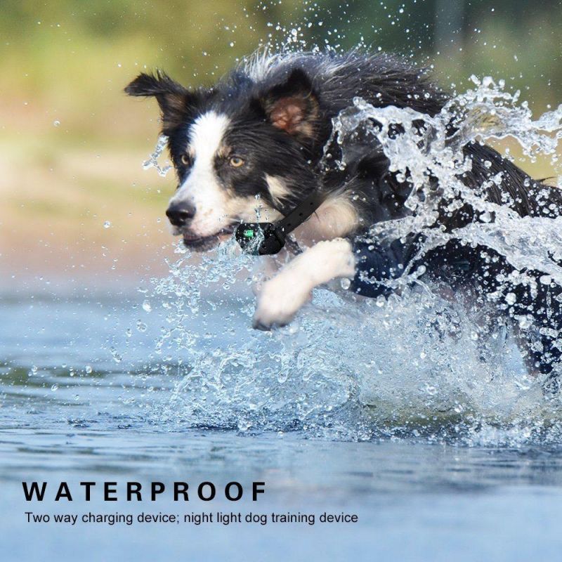 High-Quality and Stylish Waterproof Electronic Rechargeable Static Shock Vibration Remote Control Pet Dog Training Collar