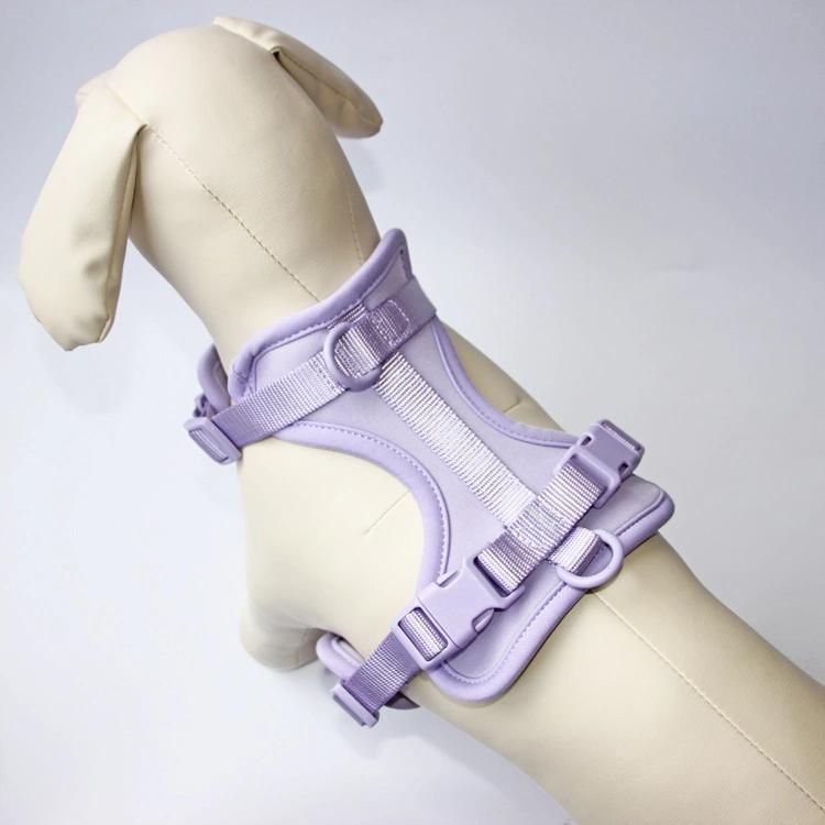 Design Sex Dog Pet Products Manufacturer