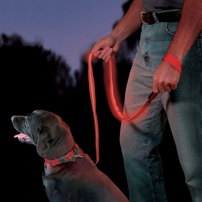 LED Pet Leash Light up Dog Leash Can Customize Length Logo