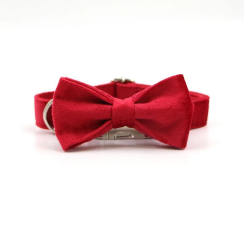 Custom Soft Velvet Dog Collar Leash Pet Product