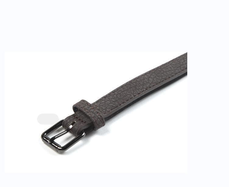 Luxury New Classic Soft PU Leather Pet Dog and Cat Collar Leash
