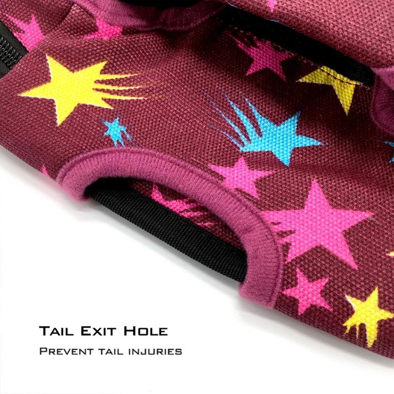Wholesale Premiun Comfortable Customized Backpack Bag Cat Dog Pet Accessories