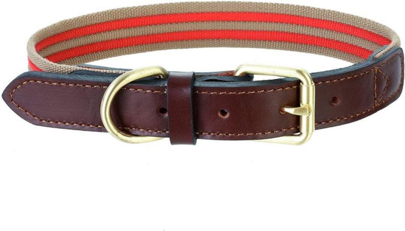 Dog Collar with Strong Soft Canvas Belt with Leather Tips and Zinc Alloy Rings
