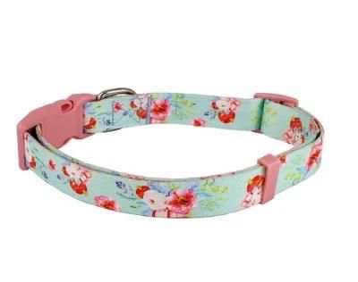 2022 OEM Manufacturer Fashionable Spring Collection Neoprene Padded Dog Collar