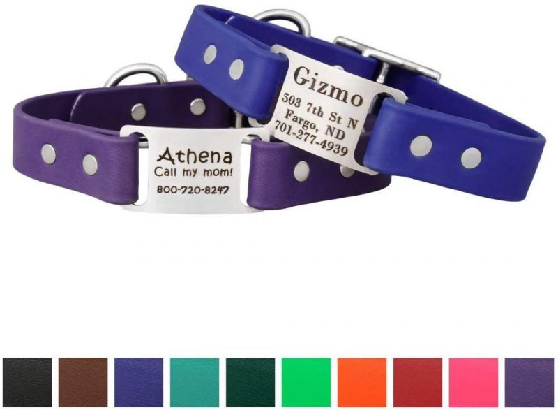 Dog ID Personalized Waterproof Dog Collar