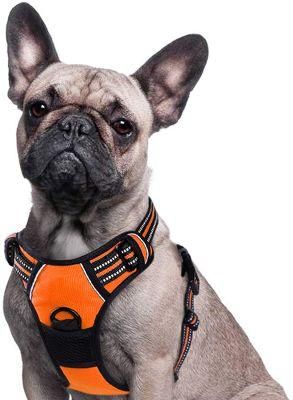 No Pull Dog Harness, Front Clip Vest Harness Dog Car Harnesses with Padded Handle