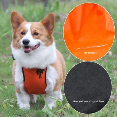 Pet Bellyband to Prevent Wet Autumn and Winter