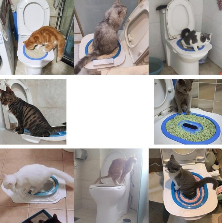 Eco-Friendly Indoor Toilet Trainer for Cat Pet Toliet