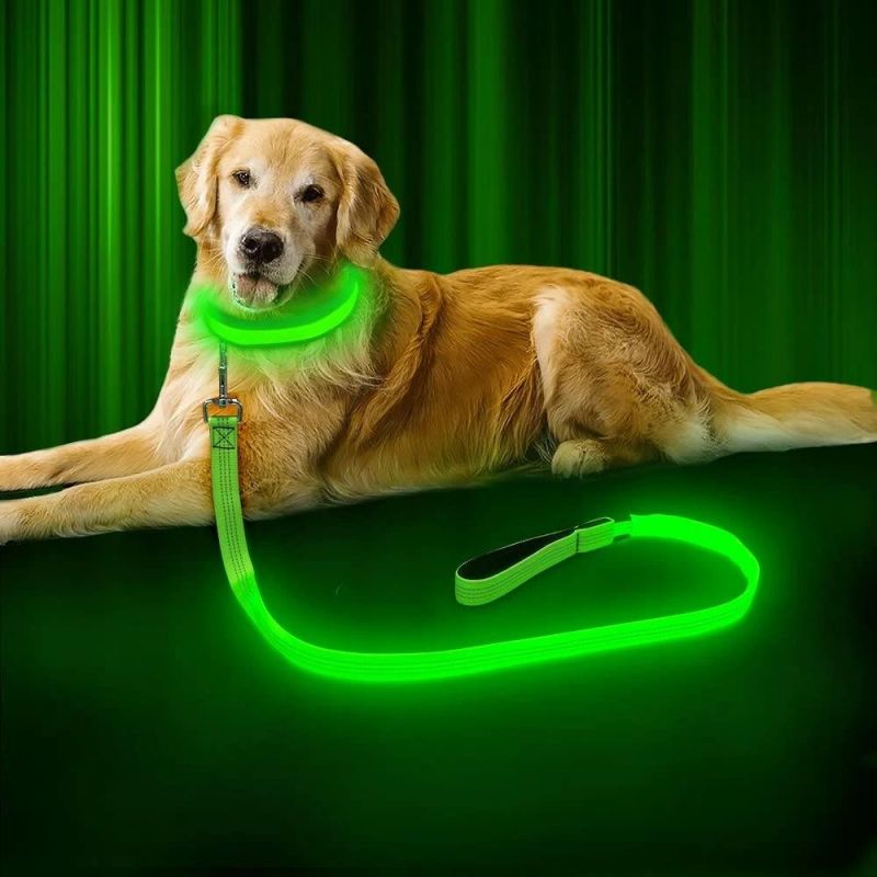 USB Rechargeable 47.2 Inch 120 Cm Reflective Night Safety Pet Leash