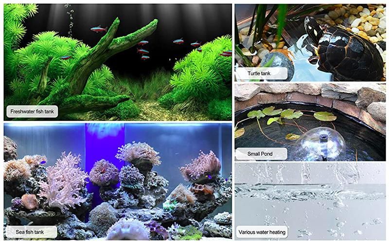 50W Aquarium Glass Heater for Nano Tanks 5-15 Gallons