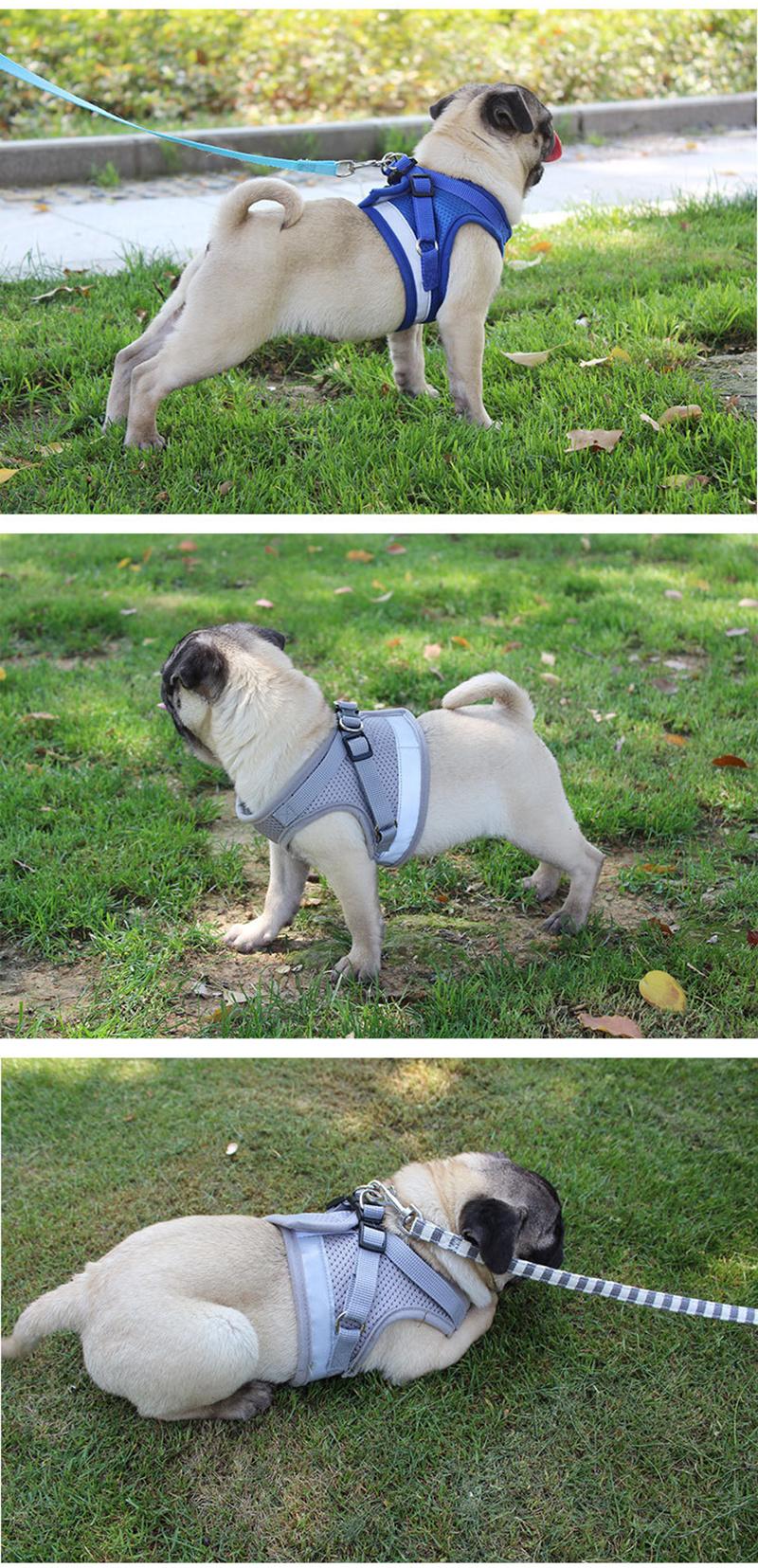 Vest Harness Leash Adjustable Mesh Vest Dog Harness Collar Chest Strap Leash Harnesses