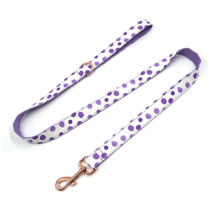 Fast Delivery of Pattern DOT Dog Collar and Leash Set