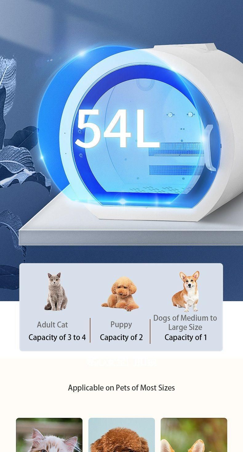 Digital Control Large Volume Pet Drying Box with Anion Drying and UV