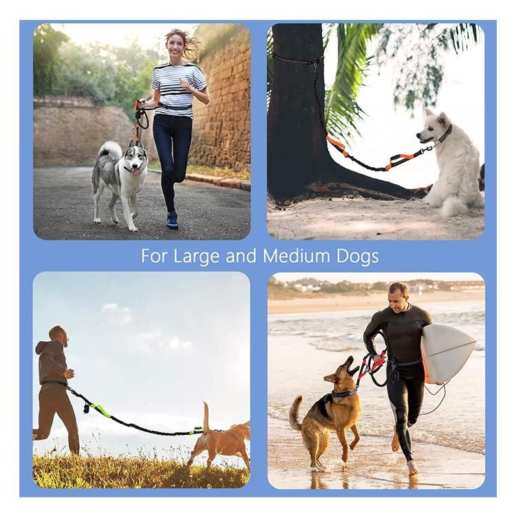 Dual Handle Nylon Reflective Bungee Hands Free Dog Leash