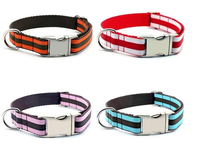 Wholesale Customized Plain Nylon Webbing Pet Dog Collars with Double Layer Ribbon