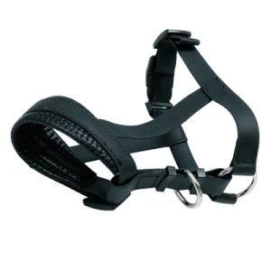 The Hot-Selling Safe Dog Muzzle for Wholesale