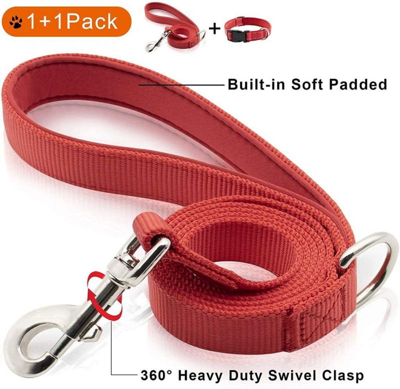 Highly Reflective Nylon Dog Collar with Matching Leash with Fast Delivery