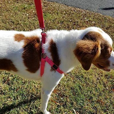 Fast Delivery Nylon Step in Dog Harness