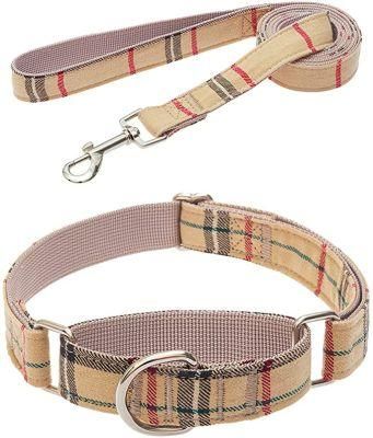 Heavy Duty Adjustable Training Nylon Collar Leash Set