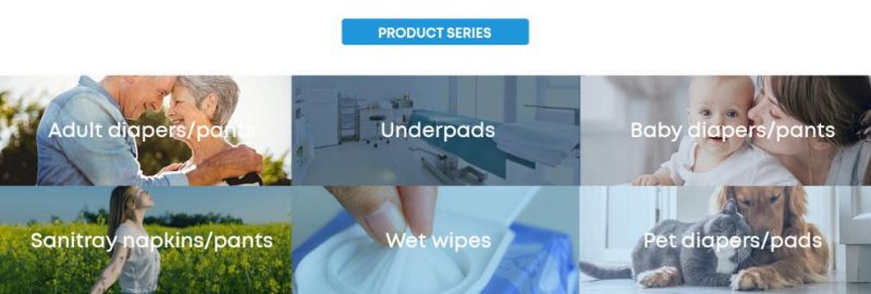 Free Sample Waterproof Training Disposable Diapers for Pets