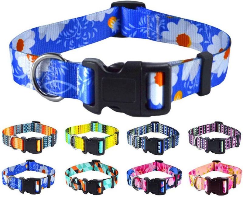 Unique Design Custom Pattern Dog Collar Leash