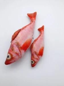 Size S 3D Red Fish Stuffed PP Cotton Plush Toy Cat Toys Baby Toy for Cat