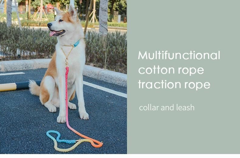 OEM Manufacturer Soft and Skin-Friendly Customizable Logo Color Designer Dog Collar