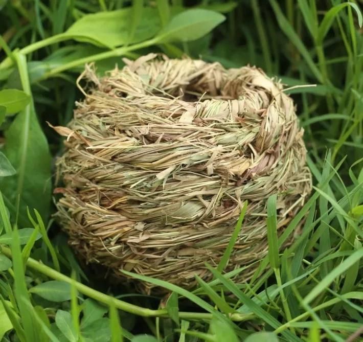 Two-Hole Grass Nest Channel Grass Making Hamster Totoro House Pet Products