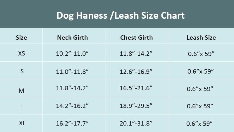 High Quality Customize Art Pattern Colorful Dog Harness/Color Dog/Colored Leash for Dogs