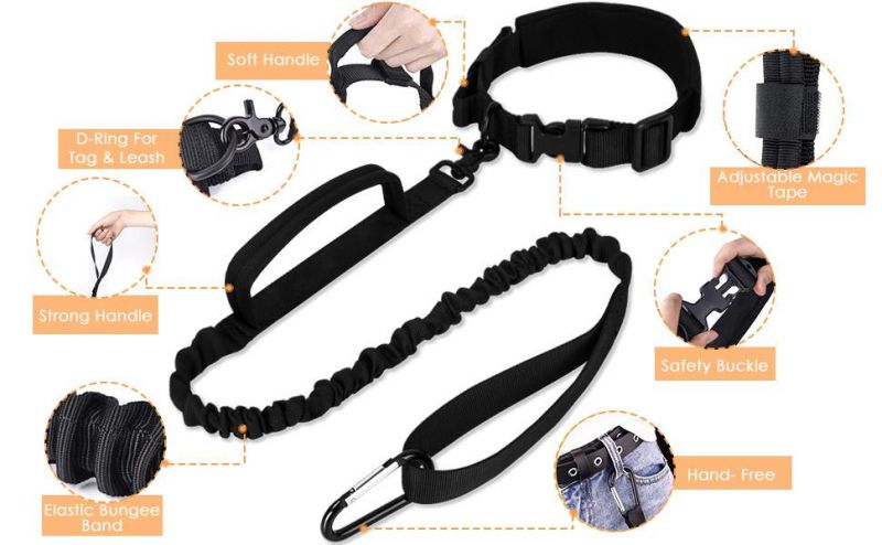 Adjustable Military Training Nylon Collar and Hands Free Heavy Duty Bungee Lead