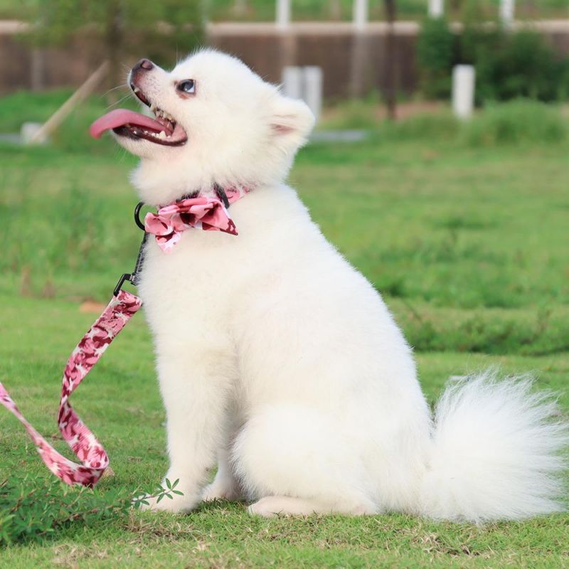 Pet Harness Pet Traction Rope Set with Pick-up Poop Bag