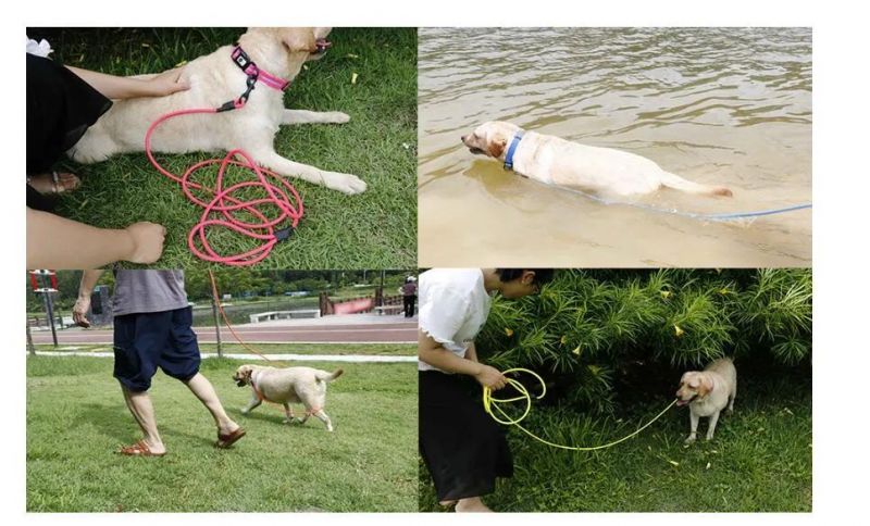 Waterproof Dog Leash Durable Training Lead Outdoor Long Leash 10FT 15FT 30FT for Dog Training