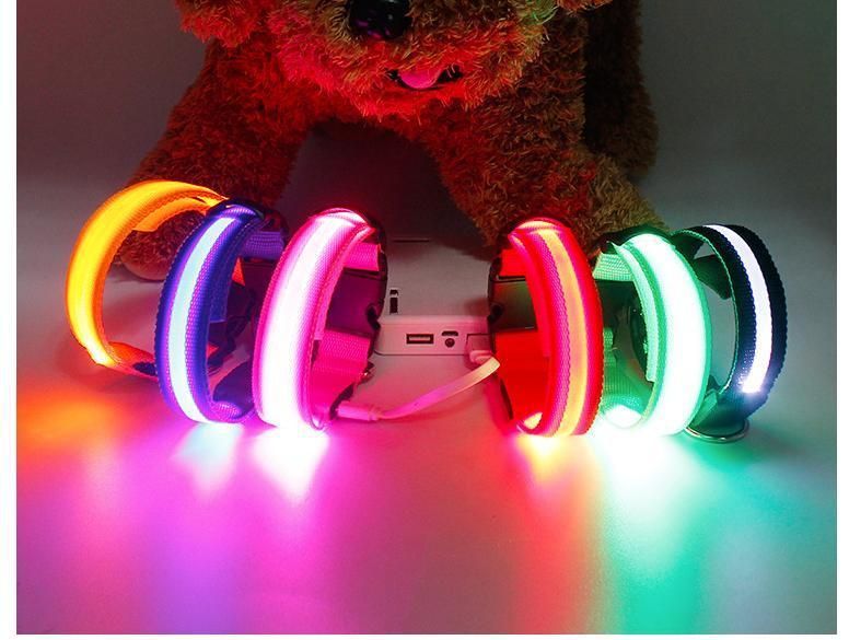 USB Rechargeable Flashing LED Nylon Safety Dog Collar