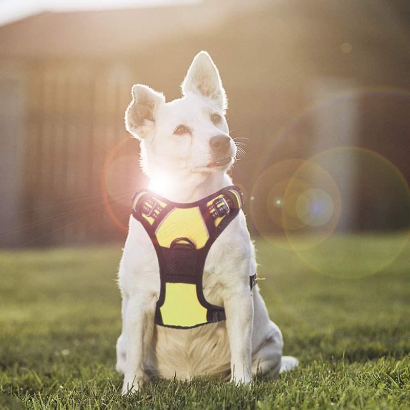 Hassle-Free Overhead Harness with Breathable Air Mesh with Soft Padded Cotton Cushion