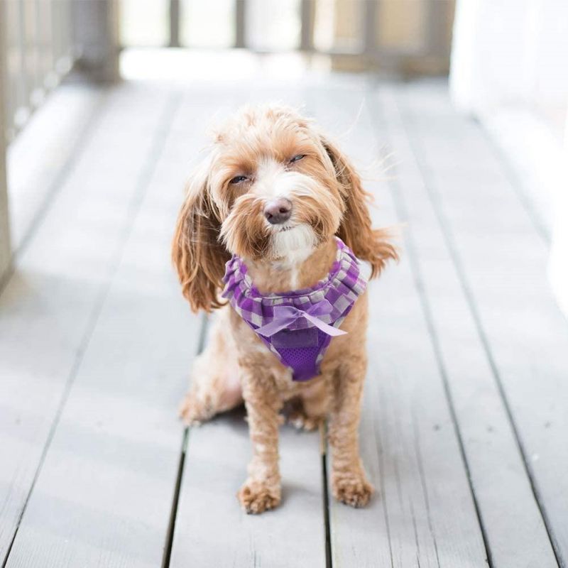 Comfortable Soft Mesh Padded Cat Dog Harness