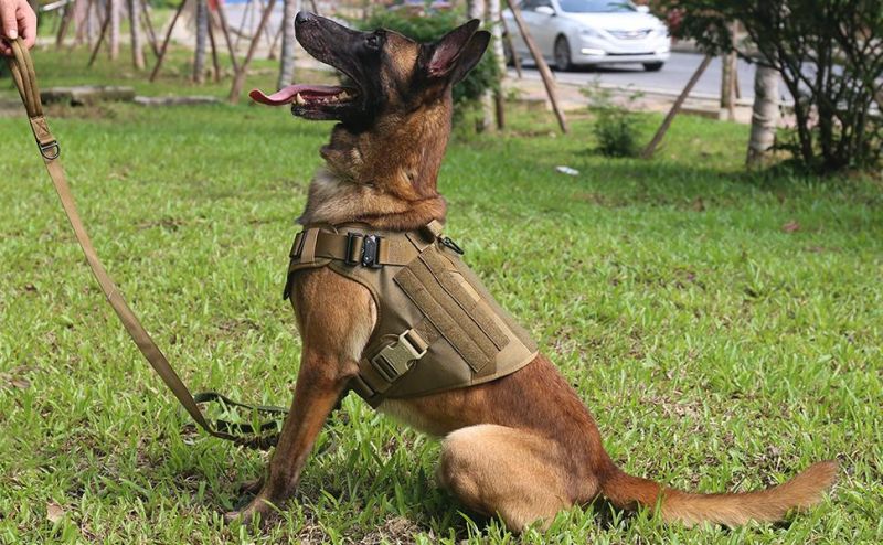 Tactical Dog Harness with 2X Metal Buckle Working Dog Molle Vest