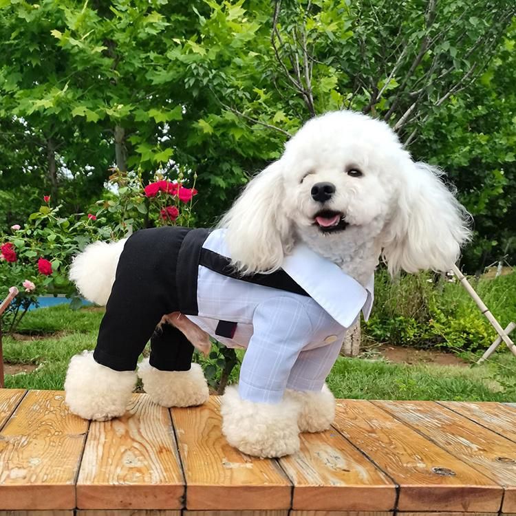 Pet Summer Clothes Four Legged Spring and Summer Thin Breathable Clothes Dog Lovers Suit