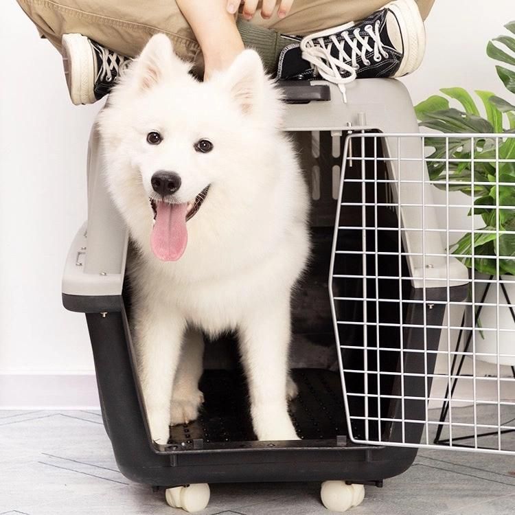 in Stock Newly Design 4 Wheel Pet Trolleys Cat Pet Trolley Carrier