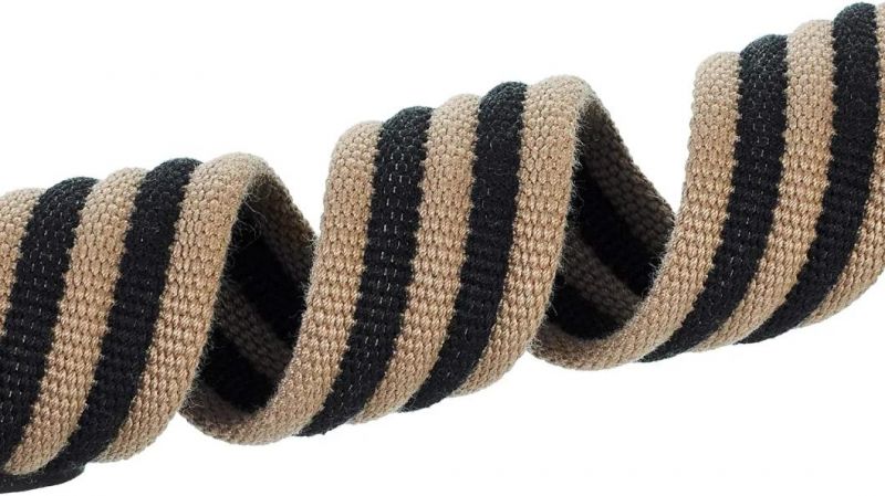 Canvas Dog Collar with Zinc Alloy Pin Buckle Ring Dog Collar