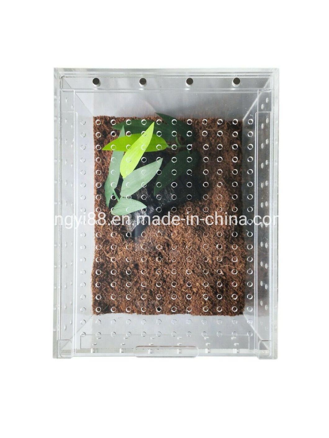 Wholesale Acrylic  Reptile Cage Shenzhen Factory