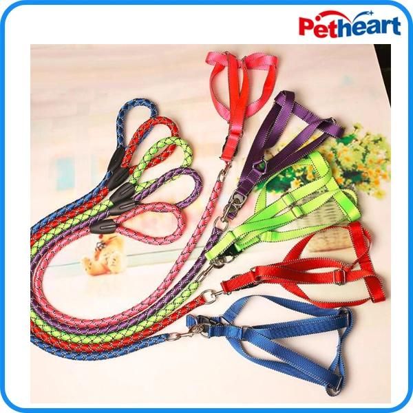 Factory Price Pet Puppy Dog Nylon Pet Collar (HP-107)