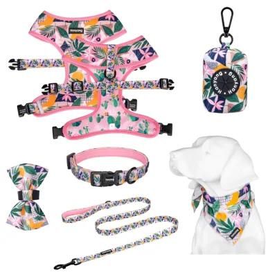 OEM Factory Pet Supplier Luxury Reversible Neoprene Adjustable Pet Harness, Collar, Leash Set