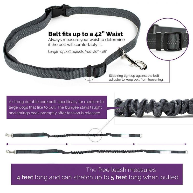 Reflective Stitching Hands-Free Dog Leash
